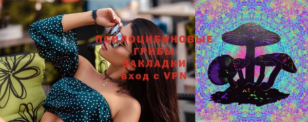 спайс Бородино