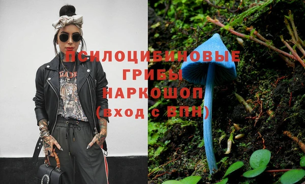 гашик Беломорск
