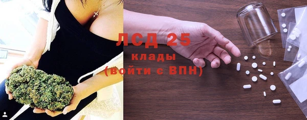 гашик Беломорск