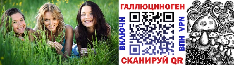hydra зеркало  что такое наркотик  Кушва  Псилоцибиновые грибы GOLDEN TEACHER 